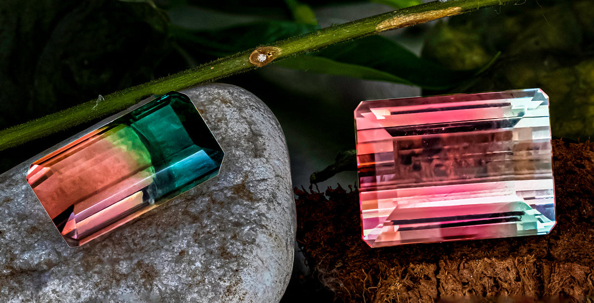 https://shoprmcgems.com/cdn/shop/articles/Bi-ColorTourmaline_3b122394-fe31-4d4f-9440-135df3fb8f71_1200x1200.jpg?v=1670124544