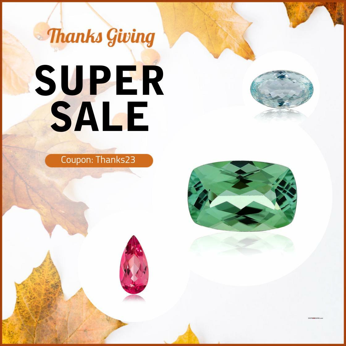 🦃🍂 Thanksgiving Super Sale is Here! 🍁🌟