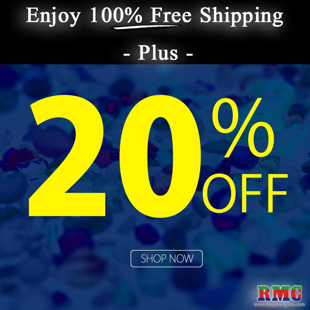 Enjoy 100% FREE SHIPPING ON ALL ORDER  - Plus - 20% OFF