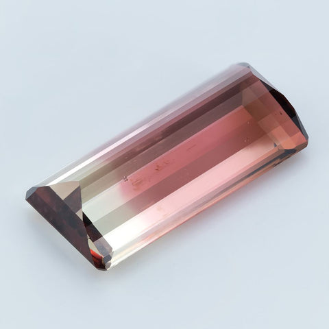 10.83 CT Bi Color Tourmaline 20x9.70 MM Octagon Gemstones RMCGEMS 