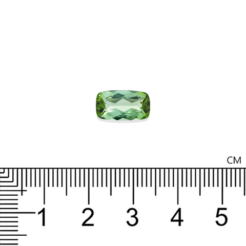 Green Tourmaline 2.67 CT. 12.1x6.8 MM Cushion Cut - shoprmcgems