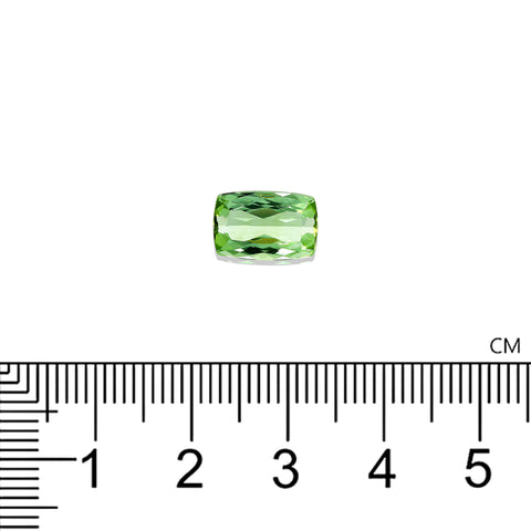 Green Tourmaline 2.94 CT. 11X7.3 MM Cushion Cut - shoprmcgems