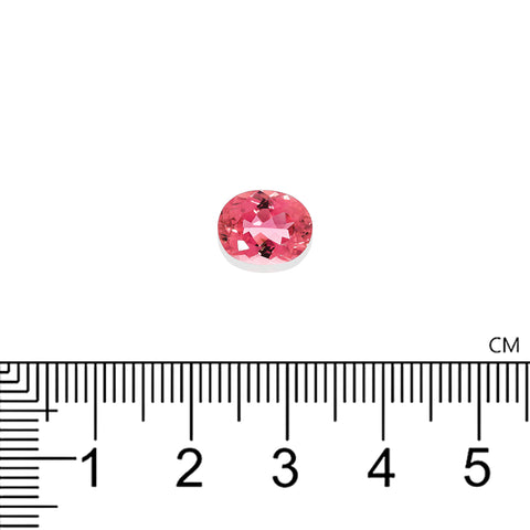 Pink Tourmaline 10X8 MM Oval  2.47 Cts. Mined In Brazil.